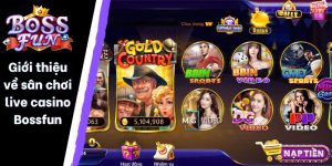 Giới thiệu về sân chơi live casino Bossfun